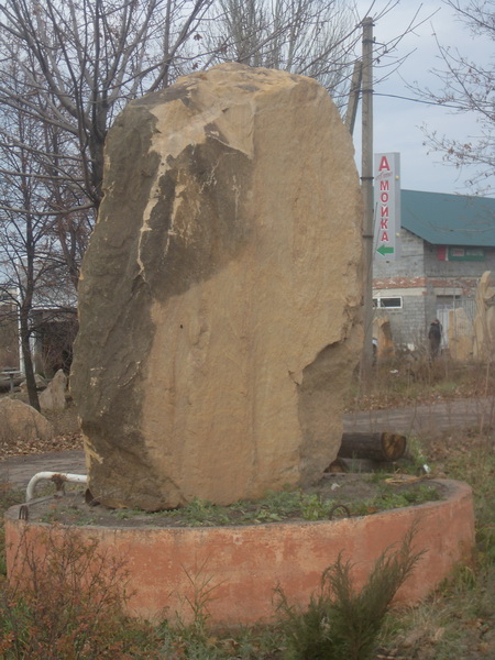 SDC16699
