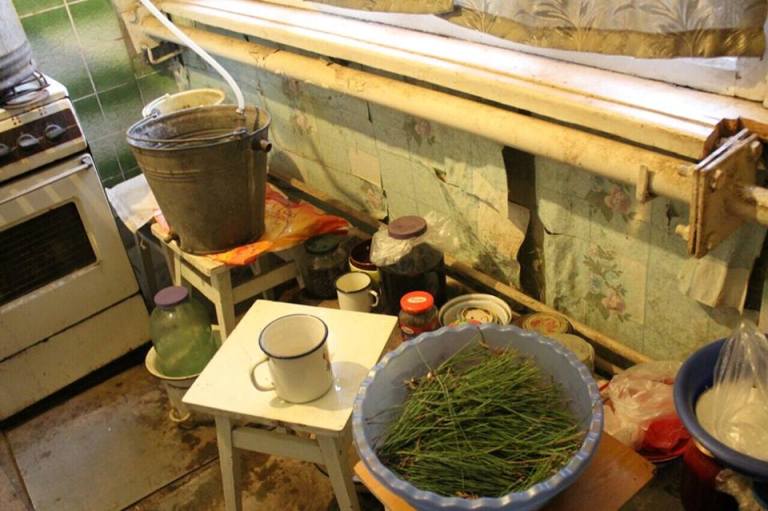 12366473 1520915234867812 9126062609752642649 n