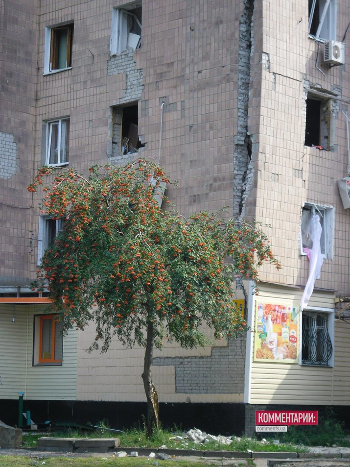 image10136065 56c4b691e795ab129e4d84fadbd79fff2