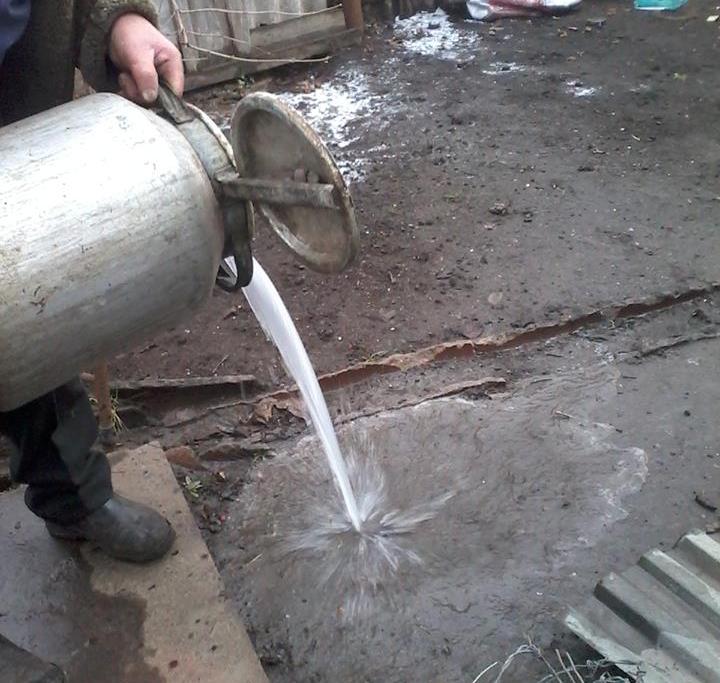 12523904 943762532368375 3399474639444518542 n