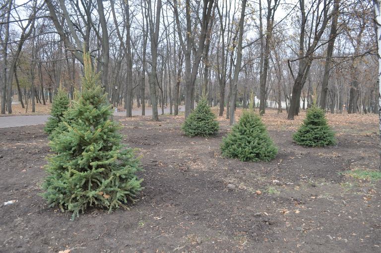 74472925 885366978532531 6888123491099344896 o