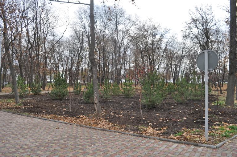 74534750 885367105199185 4936697532429369344 o