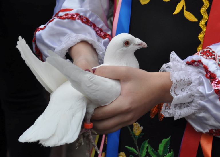 75233937 876878472714715 102561280702808064 o