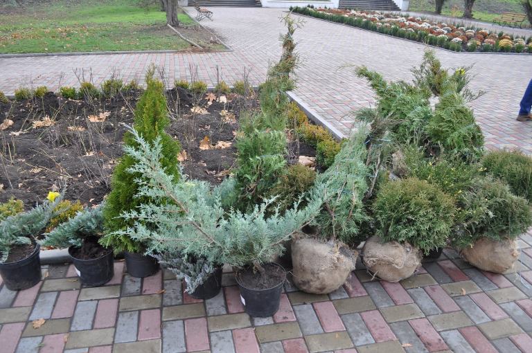 75388271 885367238532505 8134973765806194688 o