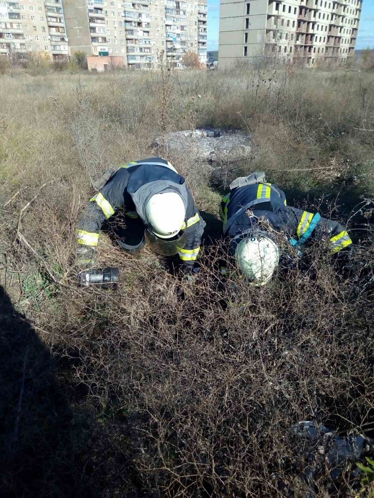 IMG fc3dae8fe88db3ad5063c5da3b19c31b V