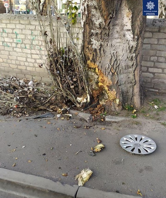 74480977 2714367545250289 7567869037116391424 o