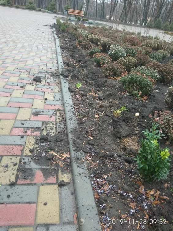 76978610 1027419634301221 9126177163169497088 n