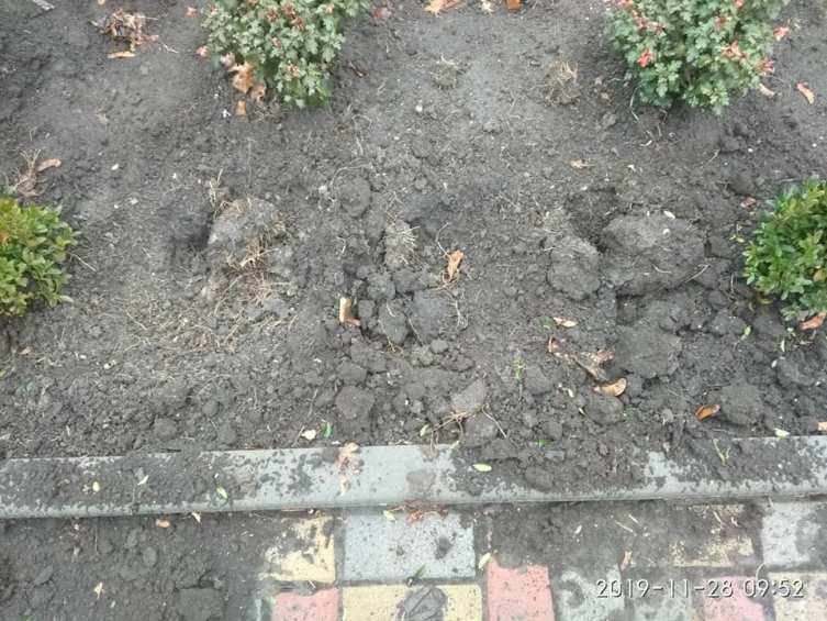 78540657 1027419470967904 3901820622677737472 n