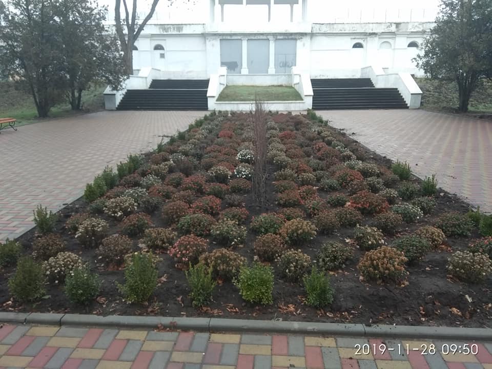 79370300 1027419407634577 6402438079482691584 n