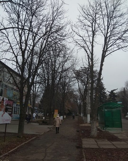 79373690 558888928283977 1699460808896937984 n