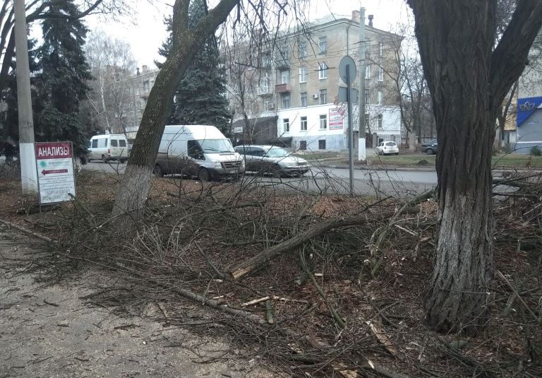 79835205 1368650876651200 153801357235585024 n