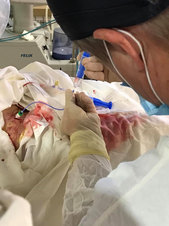 79503370 878535965930533 1128372094313168896 o