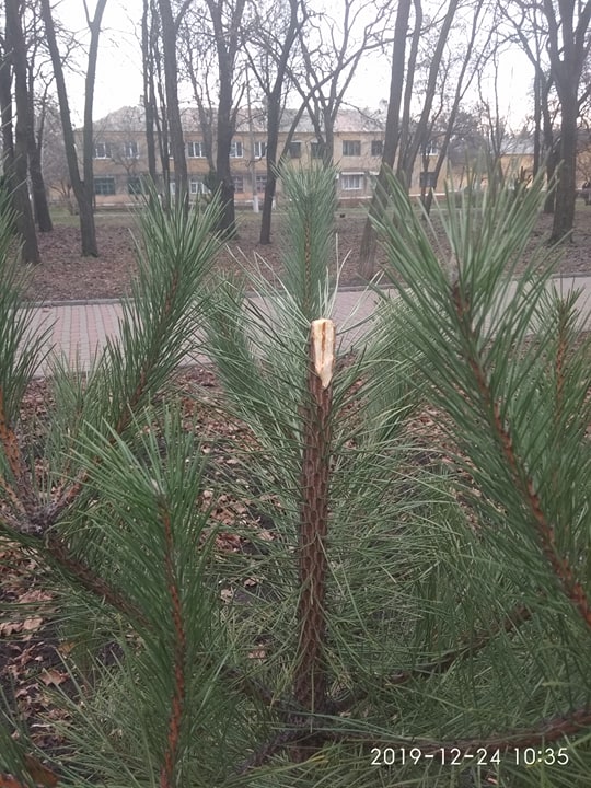 79532323 765658733937865 2872779628588564480 n