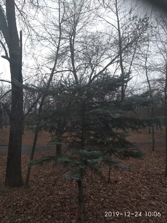 80045711 1766939880104868 1378428049518755840 n