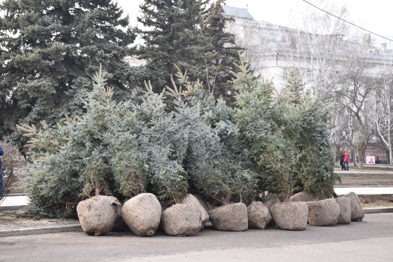 80230555 926740914395137 7315432785265557504 o