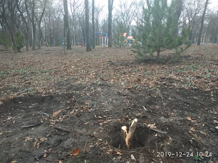 80645904 760090914497126 6334477910014951424 n