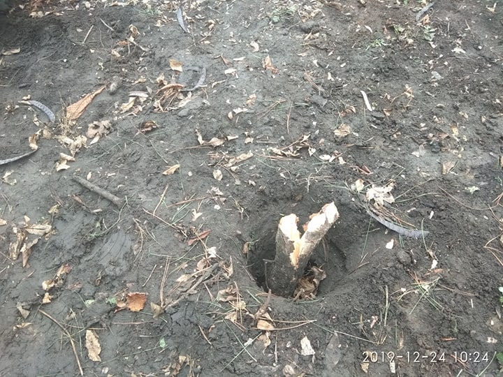 80724815 601535730619125 300547934334746624 n