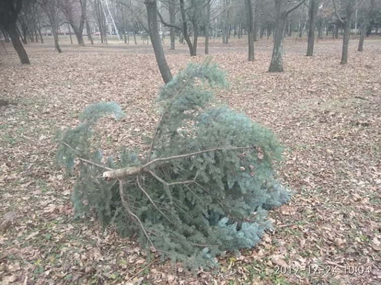 81272503 571216797063844 8946948341116174336 n