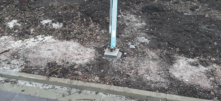 81567255 2225209877780540 3173233803787239424 o