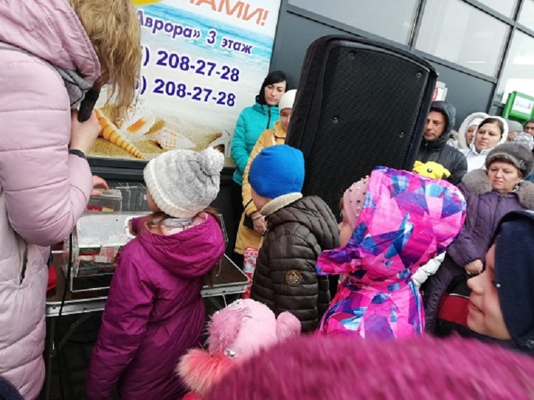 IMG 20191224 164410 941