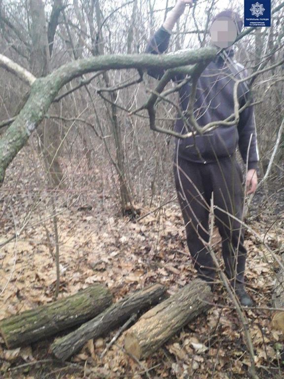 82394608 2857946020892440 6766685751821205504 o