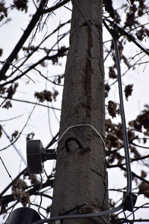 83227550 953365135066048 7746942905339609088 o