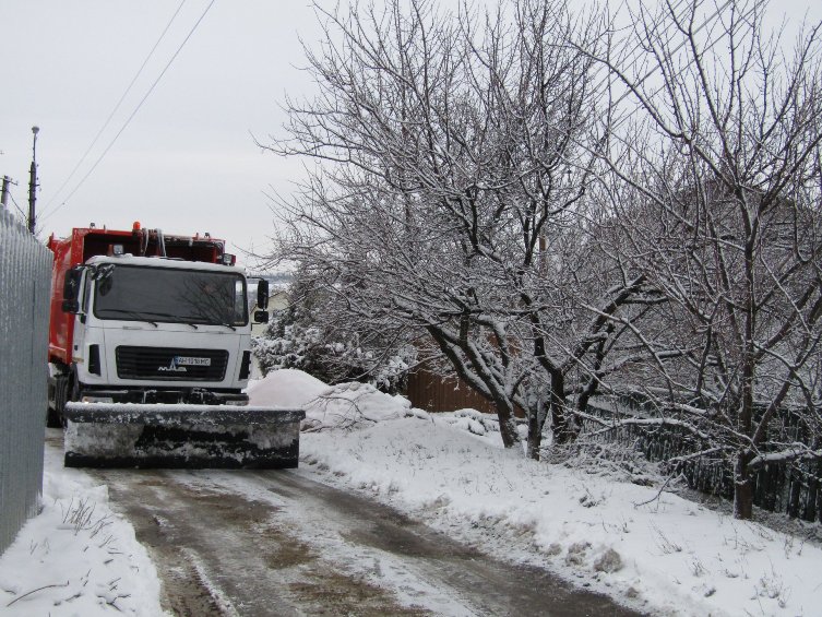 84718538 963703827365512 5240867245181108224 o