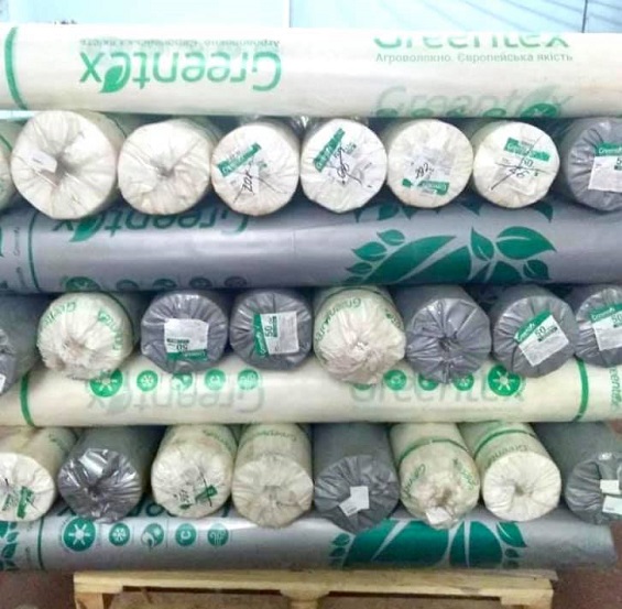 91140082 2636872136558625 8121275495896580096 n