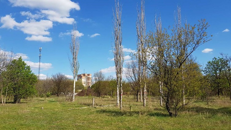 95382009 1024491557953405 7205415243768397824 o