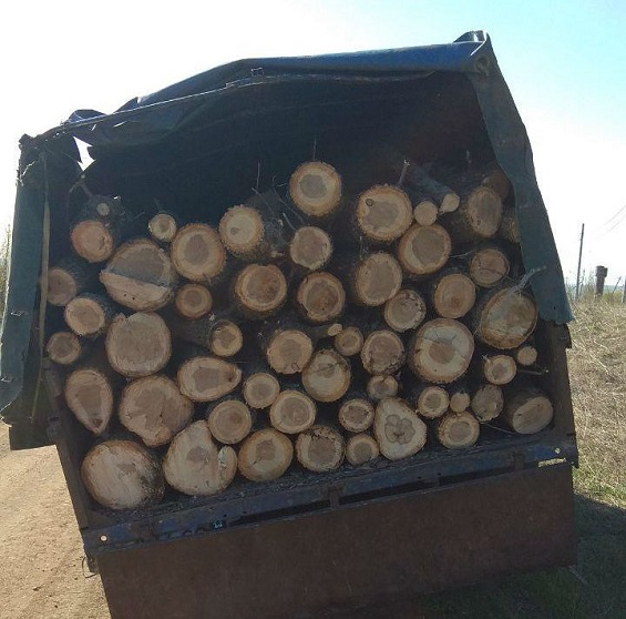 photo 2020 04 23 12 08 45