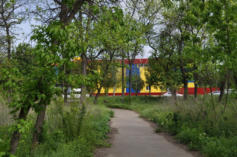 97797939 1036379676764593 5249178904547033088 o