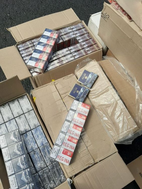 99427847 2326435837656610 4930279927871176704 o