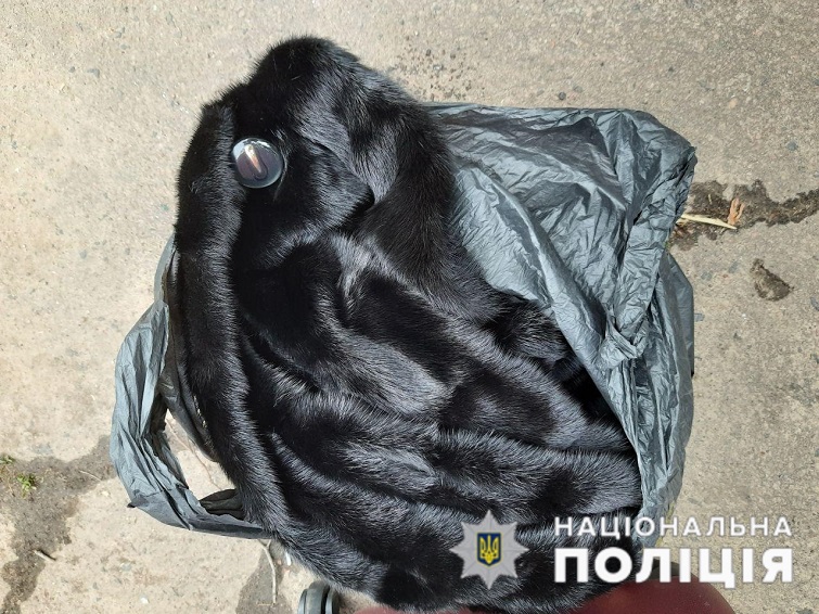 photo 2020 05 28 17 41 200dofyg2