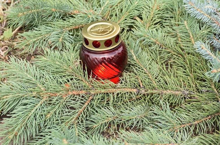 105596663 1064039450665282 206825792396720200 o