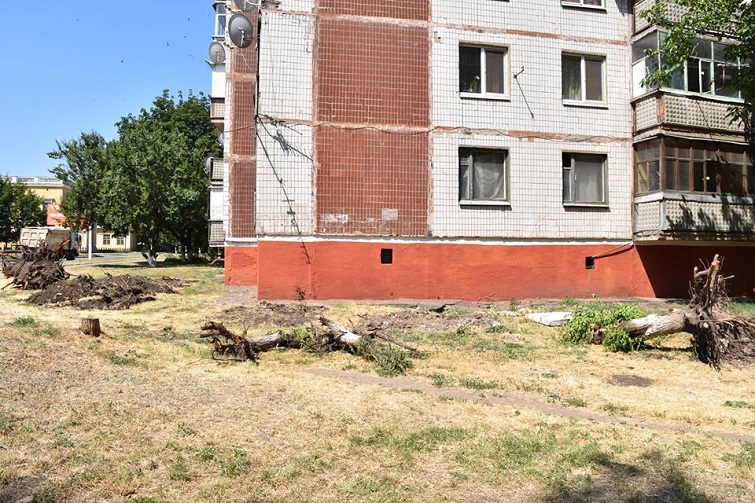 106637531 1072070319862195 4359509941569565966 o