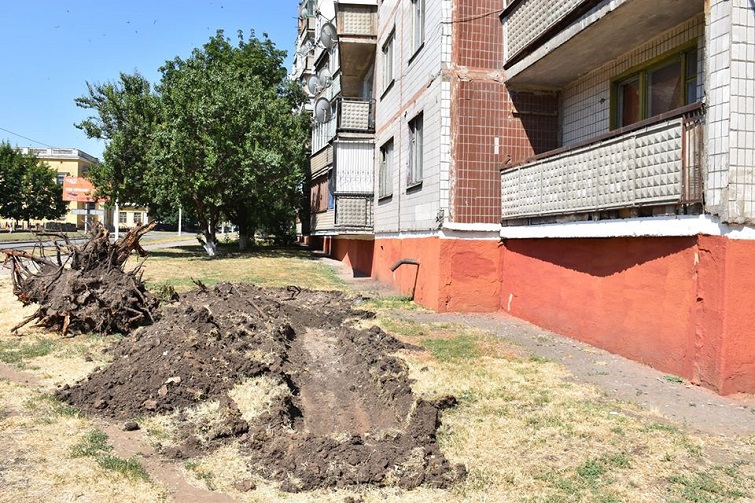 106715945 1072066756529218 4711935638285954508 o