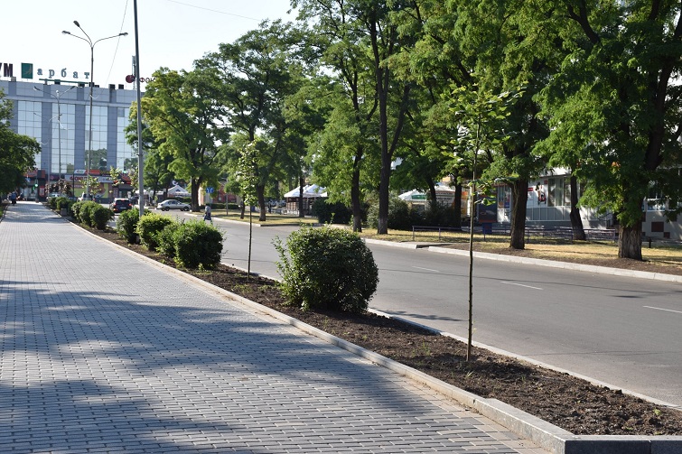 106913154 1071943069874920 1438529018722252406 o