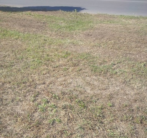 106471190 3306507162735460 448042035413848752 o