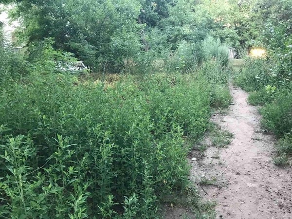 107503673 3395732790460987 9194467385941904094 n