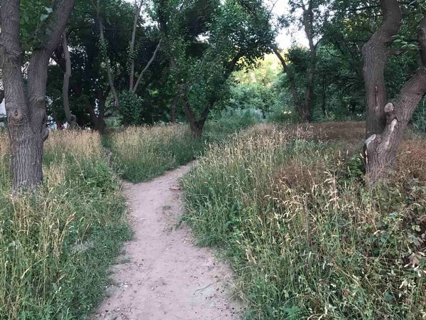 107615836 2639445216273514 3174423942049869829 n