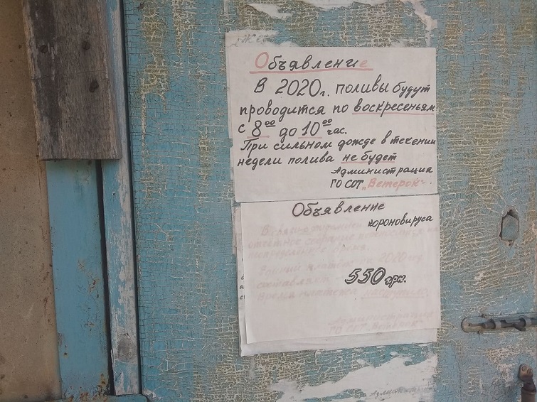 116637138 611265519785507 3151139837346409930 n