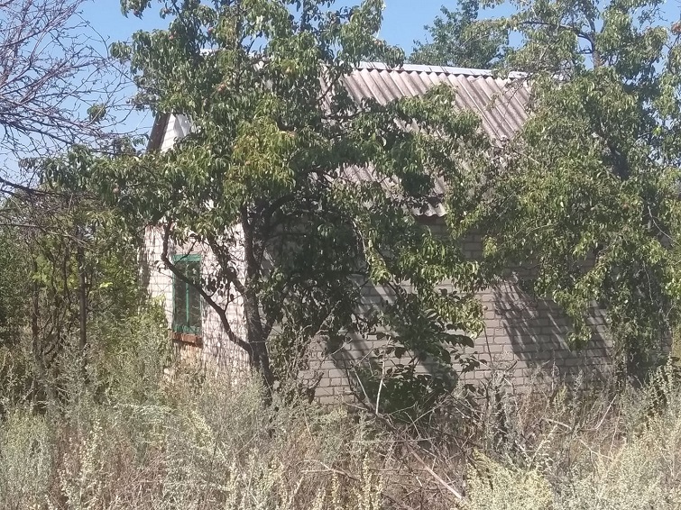 116908430 780506379154500 3938651989538063660 n