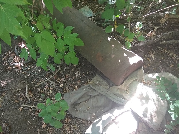 117038184 1962583623878428 8590570613867968706 n