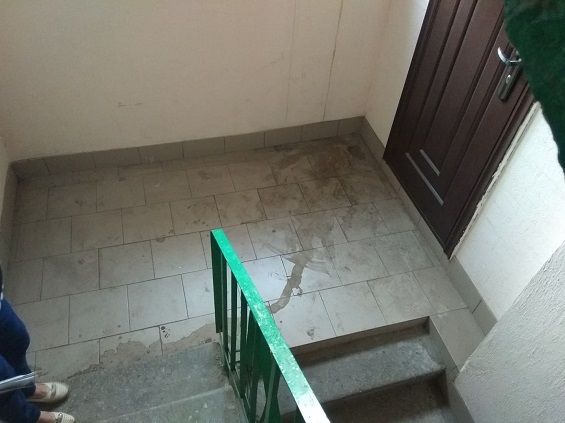 117931377 2585044501598606 6965798159648883919 n