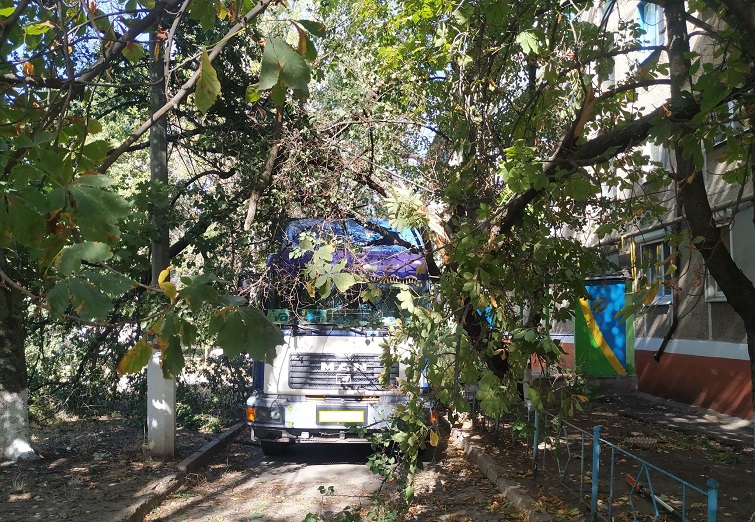 118649215 1226928701003157 3529963677261826342 n