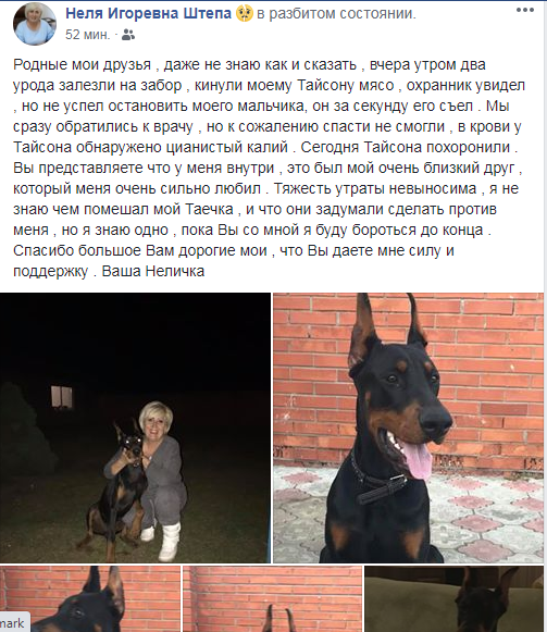 tayson jkr