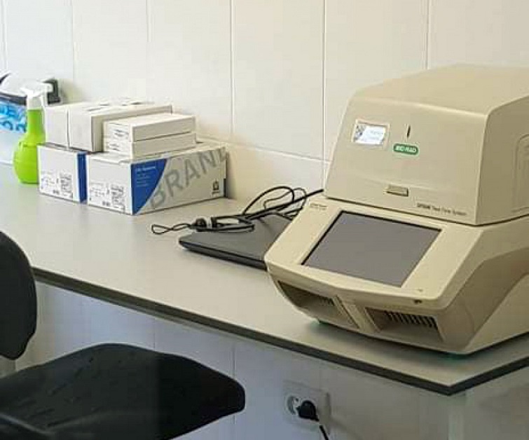 photo5424818689175301942 820x360