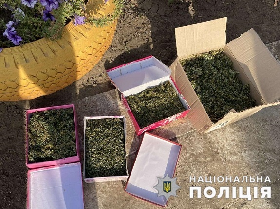 photo 202wwwe34u0 09 25 12 52 05