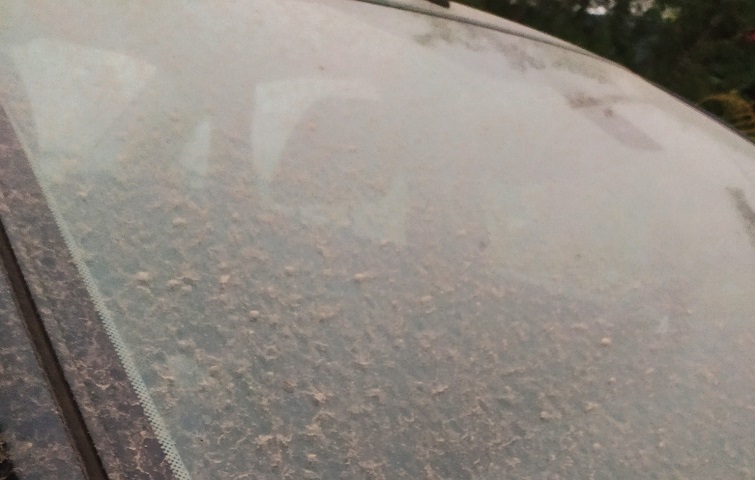 120529178 10214690309210089 2992901726156845948 o