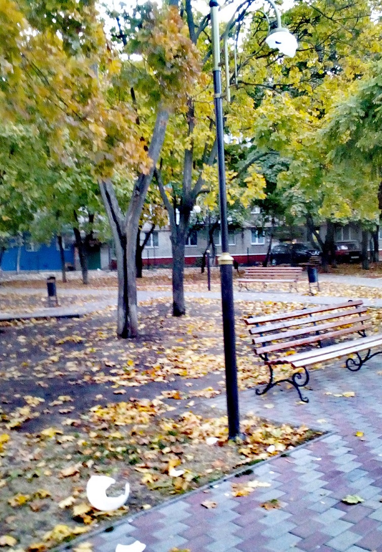 122964859 3747339421985024 1186175707581078620 o